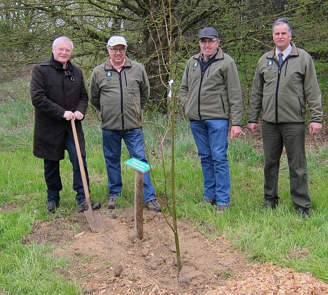 Baum des Jahres 2016